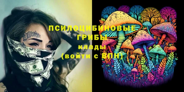 2c-b Рославль