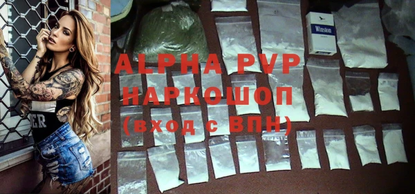 a pvp Ростов